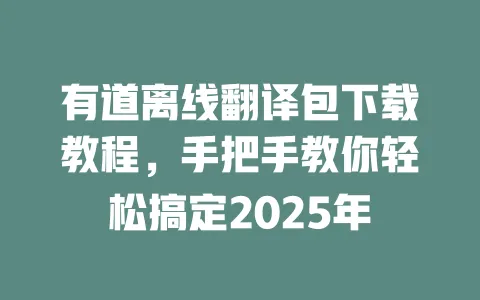有道离线翻译包下载教程，手把手教你轻松搞定2025年 一